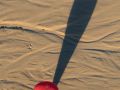 Franck Rondot Photographe   030   egypte  montgolfiere  vallee des rois