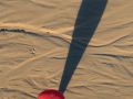 Franck Rondot Photographe   030   egypte  montgolfiere  vallee des rois