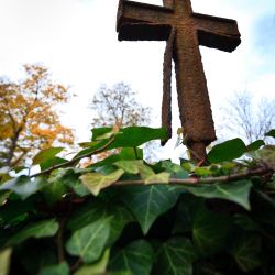 Franck Rondot Photographe   025   cimetiere  paris  pere lachaise