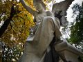 Franck Rondot Photographe   029   cimetiere  paris  pere lachaise