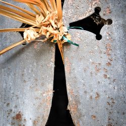 Franck Rondot Photographe   033   cimetiere  paris  pere lachaise