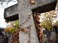 Franck Rondot Photographe   045   cimetiere  paris  pere lachaise