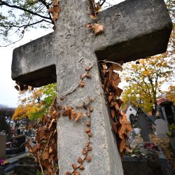 Franck Rondot Photographe   045   cimetiere  paris  pere lachaise