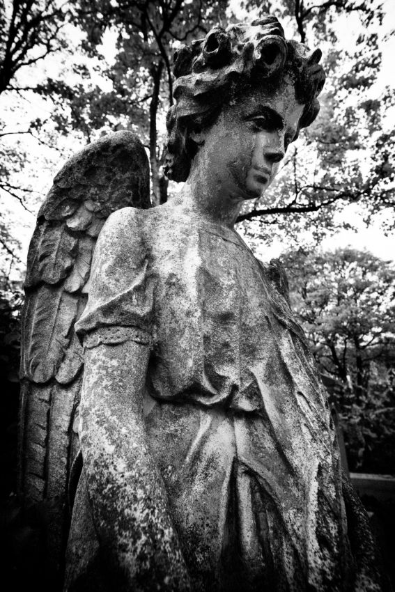 Franck Rondot Photographe   046   ange  cimetiere  paris  pere lachaise  urbain Franck Rondot Photographe   046   ange  cimetiere  paris  pere lachaise  urbain