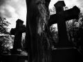 Franck Rondot Photographe   047   cimetiere  paris  pere lachaise