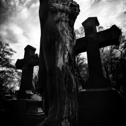 Franck Rondot Photographe   047   cimetiere  paris  pere lachaise