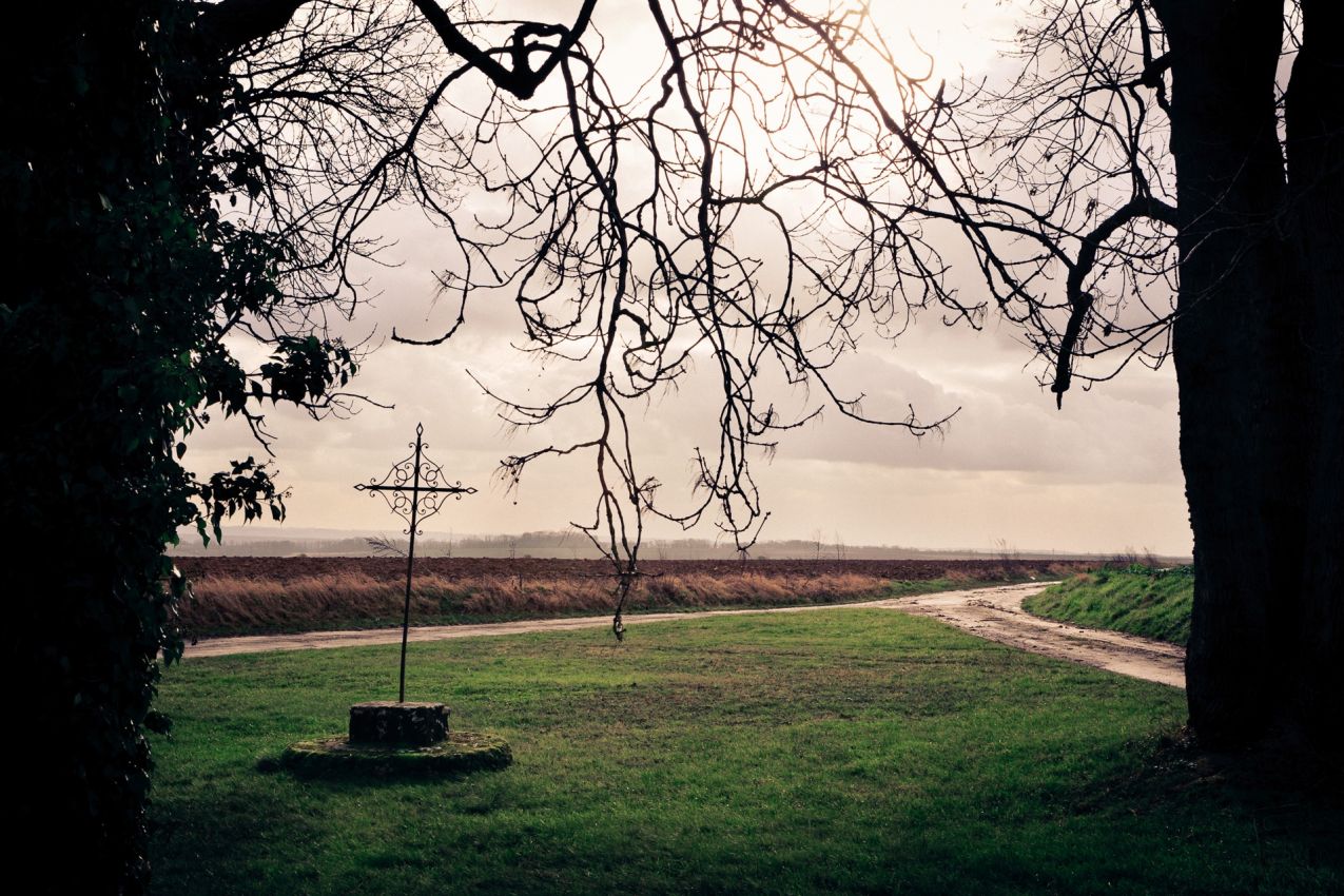 Franck Rondot Photographe   076   campagne  paysage  Seine et Marne Franck Rondot Photographe   076   campagne  paysage  Seine et Marne
