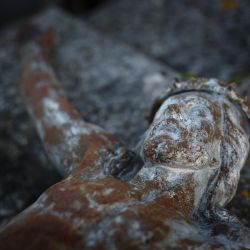 Franck Rondot Photographe 085 cimetiere Melun nord Franck Rondot Photographe 085 cimetiere Melun nord