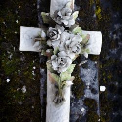 Franck Rondot Photographe 086 cimetiere Melun nord Franck Rondot Photographe 086 cimetiere Melun nord