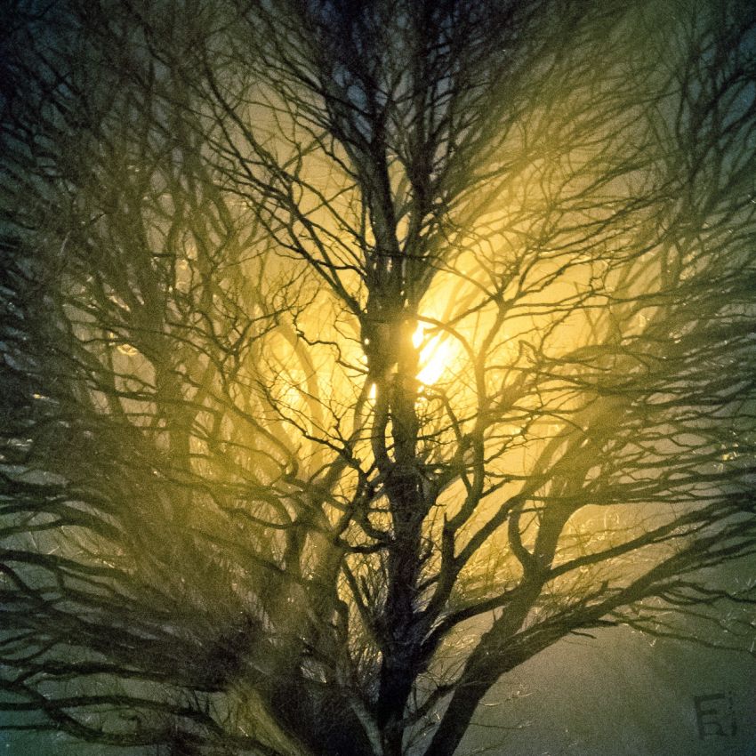 Franck Rondot Photographe   107   abstrait  montfermeil  nuit  ombres
