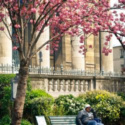 Franck Rondot Photographe   012   paris