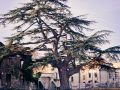 Franck Rondot Photographe   044   montfermeil  Seine Saint Denis  urbain