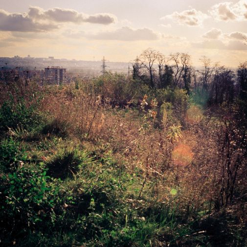 Franck Rondot Photographe   047   arboretum  gagny  parc