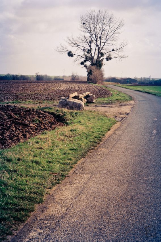 Franck Rondot Photographe   055   campagne  paysage  Seine et Marne Franck Rondot Photographe   055   campagne  paysage  Seine et Marne