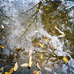 Franck Rondot Photographe   016   14eme  cimetiere  montparnasse  paris