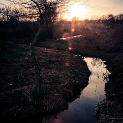 Franck Rondot Photographe   021   campagne  oise