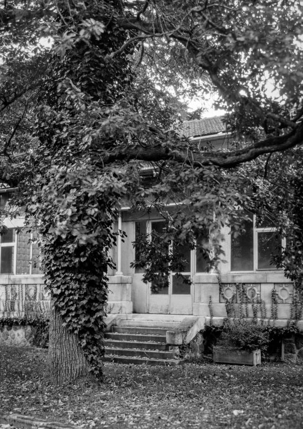 036   Ville Evrard de  but Serie   Franck Rondot Photographe 036   Ville Evrard de  but Serie   Franck Rondot Photographe