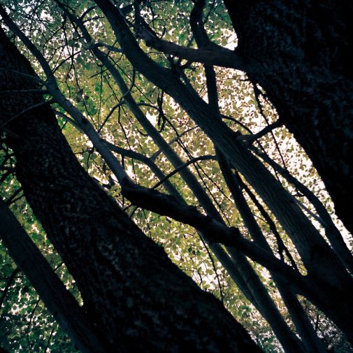Franck Rondot Photographe 053 commelles etangs nature oise Franck Rondot Photographe 053 commelles etangs nature oise