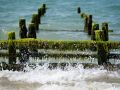 008   Reportage   Oleron 2010   Franck Rondot P