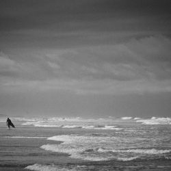 012   Reportage   Oleron 2010   Franck Rondot P