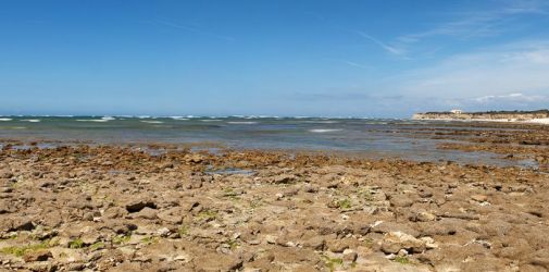 019 Reportage Oleron 2010 Franck Rondot P 019 Reportage Oleron 2010 Franck Rondot P