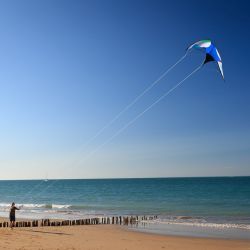 033   Reportage   Oleron 2010   Franck Rondot P