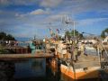 048   Reportage   Oleron 2010   Franck Rondot P