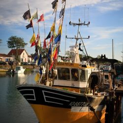 050 Reportage Oleron 2010 Franck Rondot P 050 Reportage Oleron 2010 Franck Rondot P