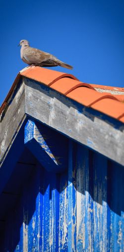 073 Reportage Oleron 2010 Franck Rondot P 073 Reportage Oleron 2010 Franck Rondot P