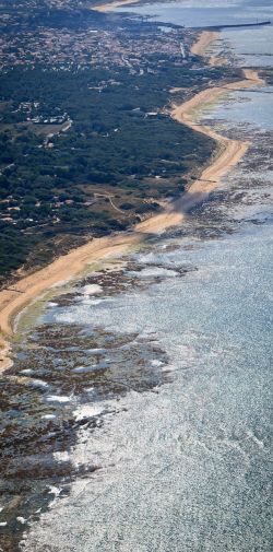090 Reportage Oleron 2010 Franck Rondot P 090 Reportage Oleron 2010 Franck Rondot P