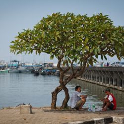 020   Reportage   Thailande 2011 Koh   Franck R