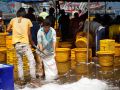 023   Reportage   Thailande 2011 Koh   Franck R