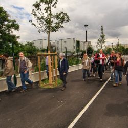 010   Reportage   Balade urbaine   Franck Rondo