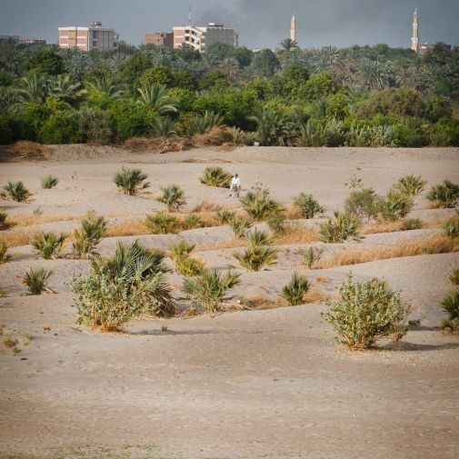 031 Reportage Egypte 2011 Franck Rondot P 031 Reportage Egypte 2011 Franck Rondot P