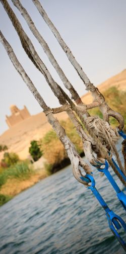 078 Reportage Egypte 2011 Franck Rondot P 078 Reportage Egypte 2011 Franck Rondot P
