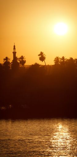 083 Reportage Egypte 2011 Franck Rondot P 083 Reportage Egypte 2011 Franck Rondot P