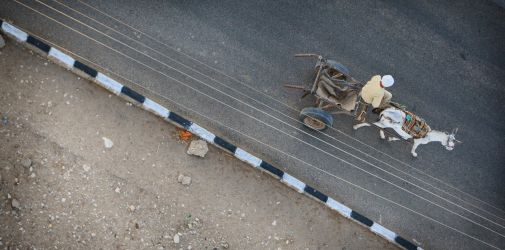 139 Reportage Egypte 2011 Franck Rondot P 139 Reportage Egypte 2011 Franck Rondot P