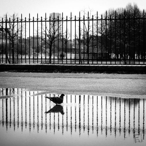 Franck Rondot Photographe   028   paris  rue  urbain