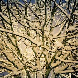 Franck Rondot Photographe 017 neige paris urbain Franck Rondot Photographe 017 neige paris urbain
