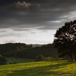 Franck Rondot Photographe   008   creuse