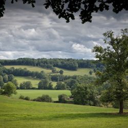 Franck Rondot Photographe   009   creuse