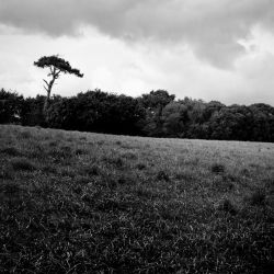 Franck Rondot Photographe   010   4X5  argentique  chambre  scann