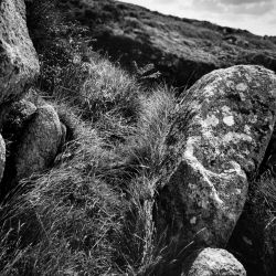 Franck Rondot Photographe   011   4X5  argentique  chambre  scann