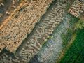 Franck Rondot Photographe   041   egypte  montgolfiere  vallee des rois