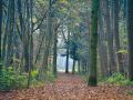 Franck Rondot Photographe   046   bois de bondy  montfermeil  parc