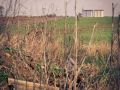 Franck Rondot Photographe   050   campagne  paysage  Seine et Marne