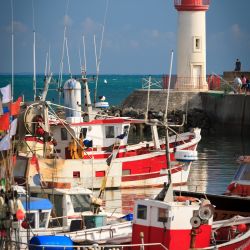 Franck Rondot Photographe 114 2010 oleron Franck Rondot Photographe 114 2010 oleron