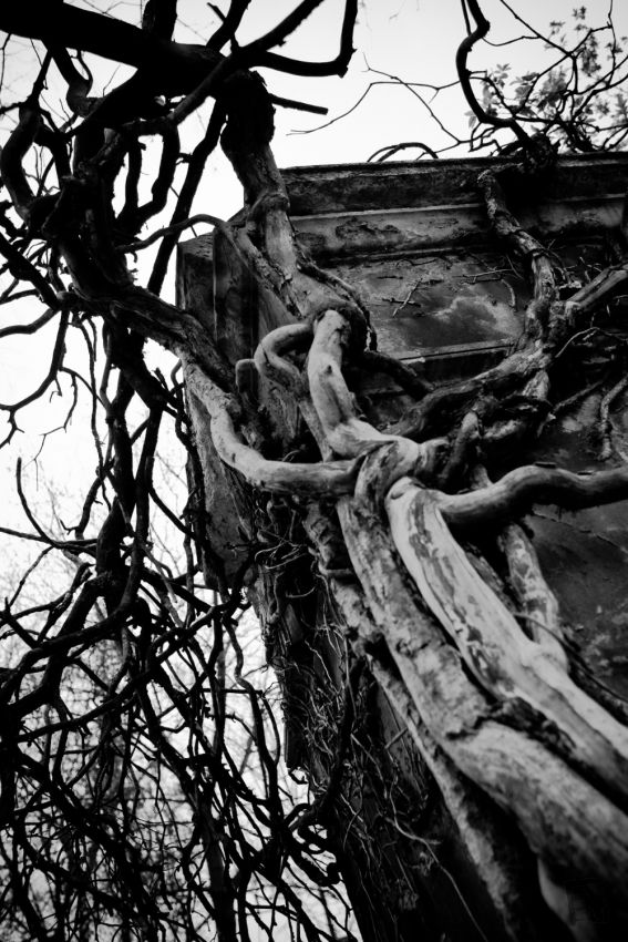 Franck Rondot Photographe   004   cimetiere  nb  paris  pere lachaise Franck Rondot Photographe   004   cimetiere  nb  paris  pere lachaise