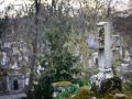 Franck Rondot Photographe   007   cimetiere  paris  pere lachaise