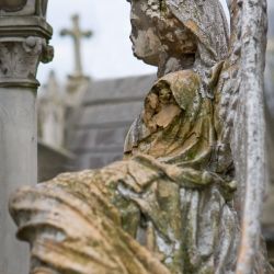 Franck Rondot Photographe   011   cimetiere  paris  pere lachaise